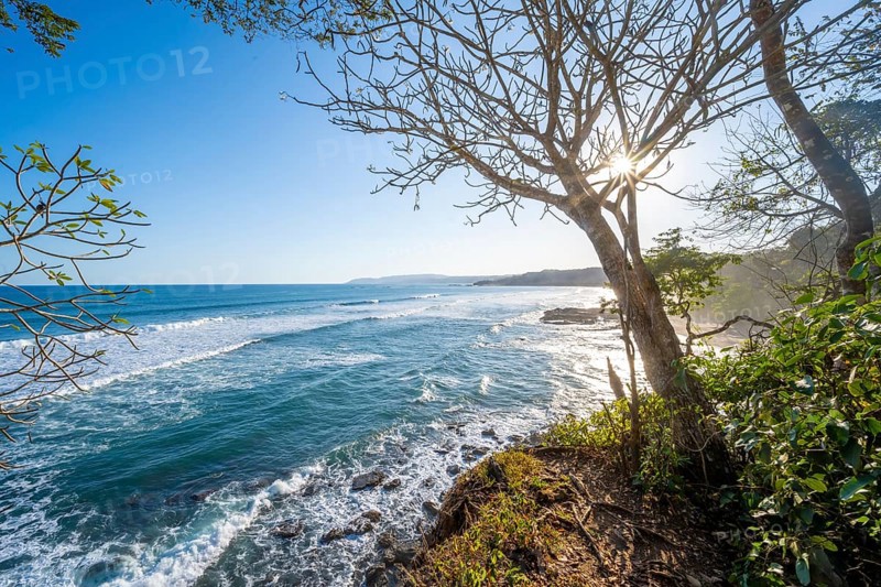 View of coast and sea, Playa Cocalito, coastal landscape in the evening light, Pacific coast, Nicoya Peninsula, Puntarenas Province, Costa Rica, Central America