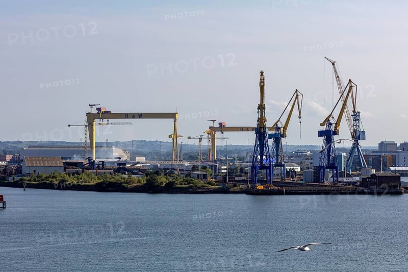 Harbour cranes are reflected in the water as a seagull flies by under a clear sky, Belfast