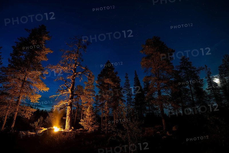 Man in the evening at a bivouac with campfire, Lapland, Sweden, Scandinavia, Europe