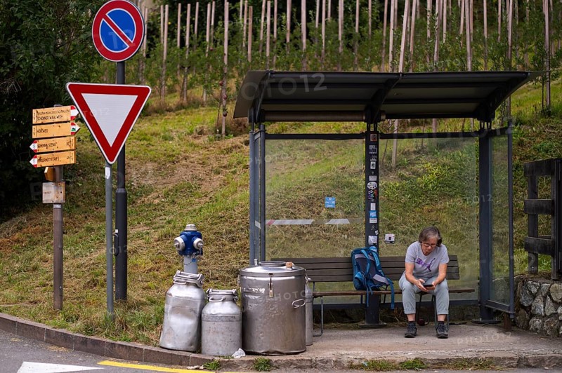 Elderly woman, best ager, with backpack, sitting at bus stop, using smartphone, mobile phone, bus stop, station, milk cans, milk container, traffic, Scena, Scena, South Tyrol, Autonomous Province of Bolzano, Italy, Europe