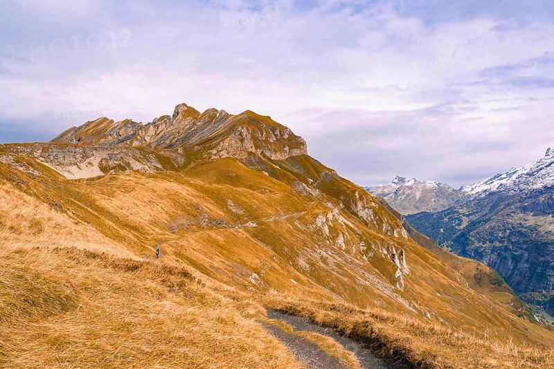 Elongated mountain range with autumn-coloured grass, Planplatten, Switzerland, Europe