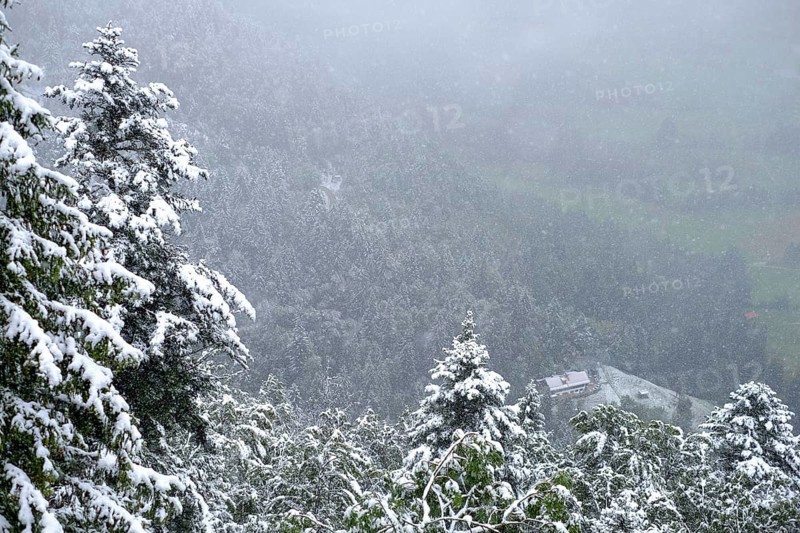 Winter onset, mountains, trees, snow-covered, snowfall, panorama, forest, view from above, landscape, spruces, September, summer, Isarwinkel, Reiseralm, weather, climate change, Lenggries, Bavaria, Germany, Europe
