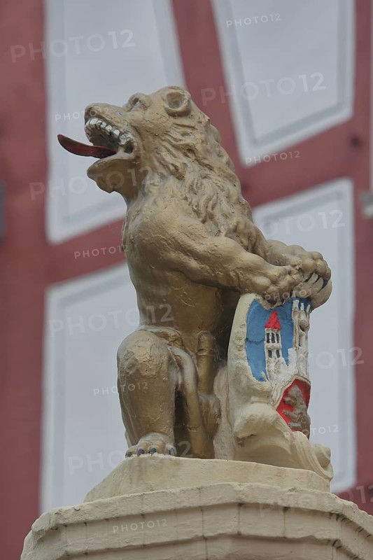 Market fountain with lion figure and town coat of arms, Oberer Markt, Biedenkopf, Hesse, Germany, Europe