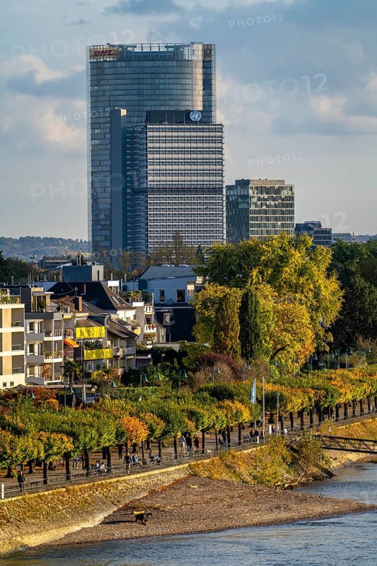 Skyline Bonn on the Rhine, in front the UNFCCC Secretariat of the Framework Convention on Climate Change, in the centre the United Nations high-rise building, Campus Bonn, behind it the Posttower, headquarters of Deutsche Post, Rhine bank Bonn-Beuel, riverside promenade, North Rhine-Westphalia, Germany, Europe