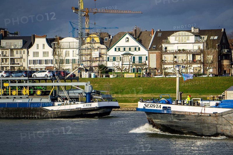The Rhine near Düsseldorf, cargo ship, vehicle transporter Fuerte, of BLG Autotransport Logistics, houses in the Oberkassel district, North Rhine-Westphalia, Germany, Europe