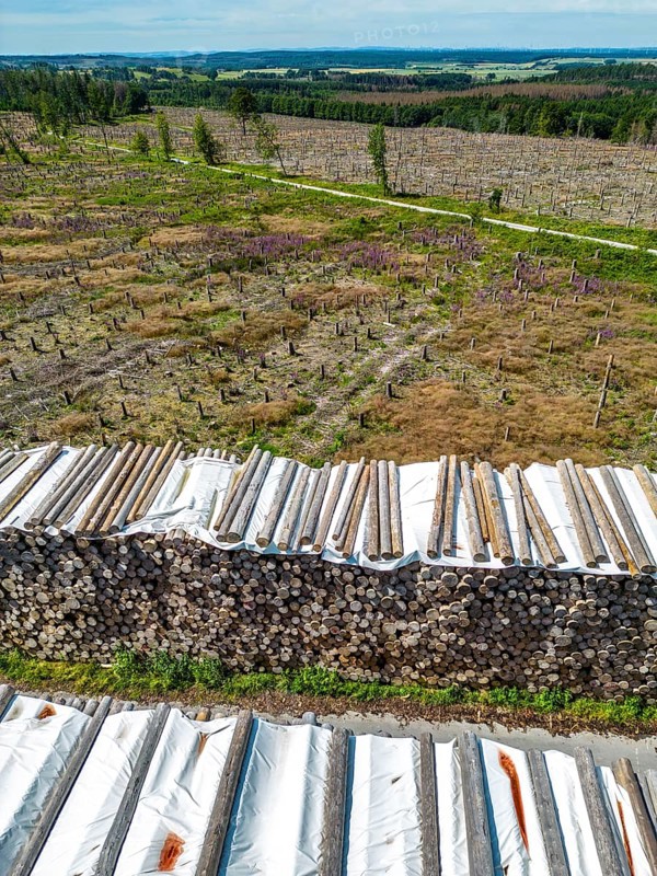 Large tree stacks, Cleared forest in the Eggegebirge, near Lichtenau, Paderborn district, site of a spruce forest that had died due to heavy bark beetle infestation and was felled, the tree stumps are intended to provide protection and nutrients for new, planted trees, North Rhine-Westphalia, Germany, Europe