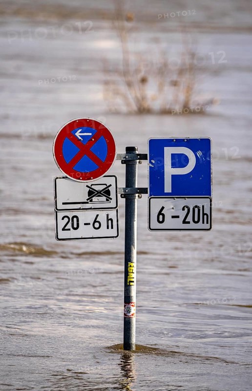 Flood of the Rhine, at the jetty of the Rhine ferry between Duisburg-Walsum and Rheinberg-Orsoy, North Rhine-Westphalia, Germany, Europe