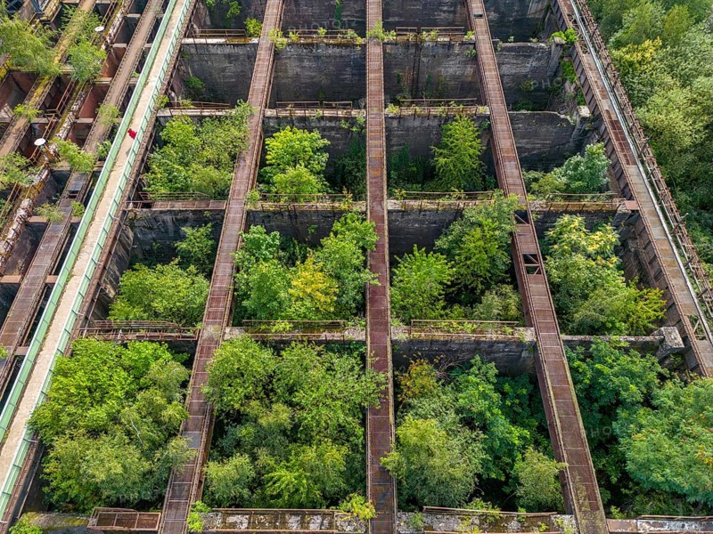 Duisburg-Nord Landscape Park, former Thyssen steelworks, closed in 1985, since then trees have been growing in the former Möller bunkers, ore bunkers, storage bunkers for feeding the blast furnaces with various materials such as ore, coke, additives, accessible via the bunker footbridge, North Rhine-Westphalia, Germany, Europe