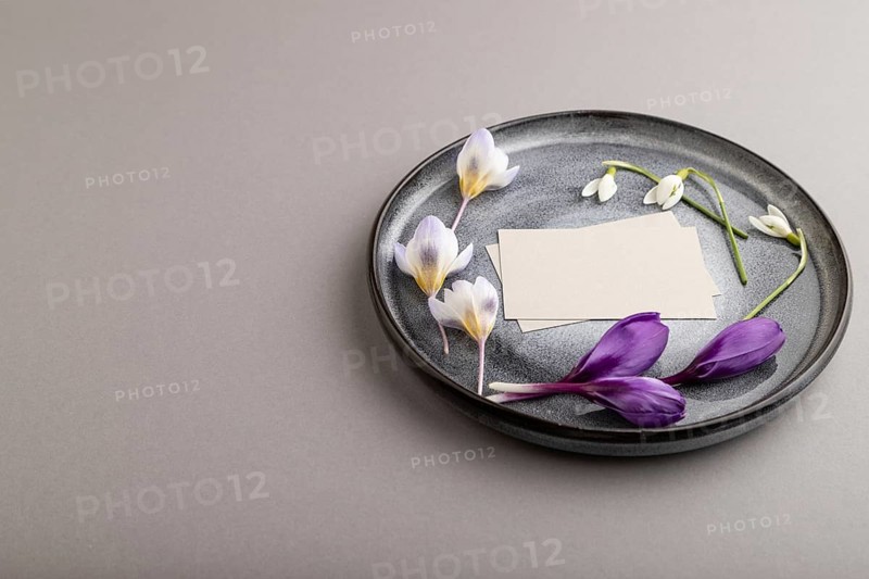 Gray paper invitation card, mockup with crocus and galanthus flowers on ceramic plate and gray background. Blank, side view, still life, copy space, wedding invitation