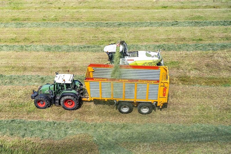 Hay harvest, on a Rhine meadow near Duisburg-Beeckerwerth, a forage harvester picks up the cut grass, which was piled up in strips after cutting, and loads it into a silage wagon, cattle feed, North Rhine-Westphalia, Germany, Europe