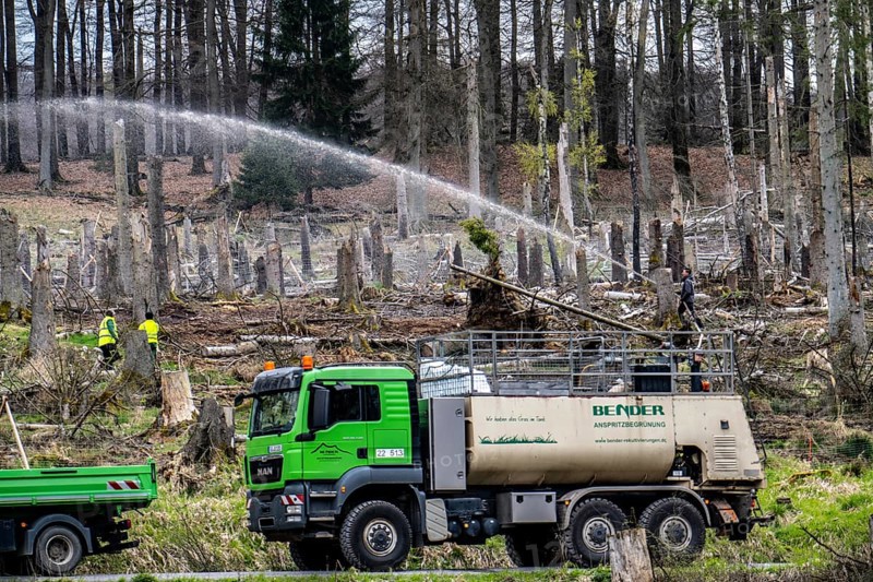 Spraying of a cleared forest area on which spruce trees infested by the bark beetle have died, thus stopping erosion and quickly and effectively establishing plants, the seed is mixed with fertiliser and water and sprayed onto the area at high pressure, near Hirschberg, Arnsberg Forest, North Rhine-Westphalia, Germany, Europe