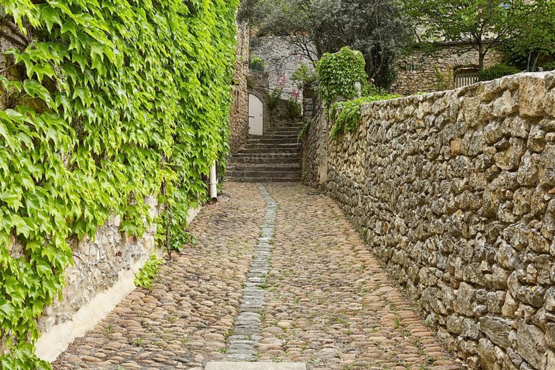 Path with treooe and walls with tricuspid vine (Parthenocissus tricuspidata) in La Roque-sur-Cèze, Gard department, Occitanie region, France, Europe