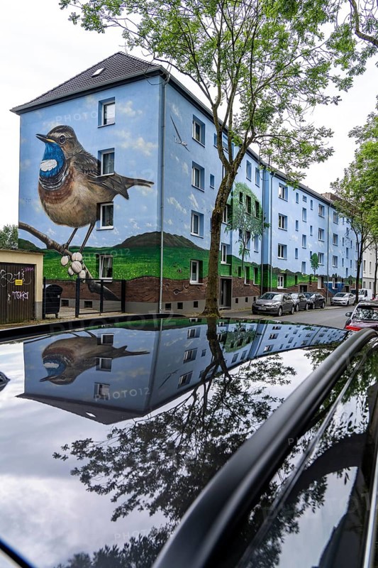 Residential buildings on Feldsieper Straße in Bochum, after an energy-efficient refurbishment, with facade insulation, the Bochumer Wohnstätten Wohnungsgenossenschaft had the buildings painted with a large mural by Dortmund graffiti artist Denis Klatt, it shows a bluethroat and a landscape with trees, life below ground and lots of sky on the entire facade, Bochum-Hamme, North Rhine-Westphalia, Germany, Europe