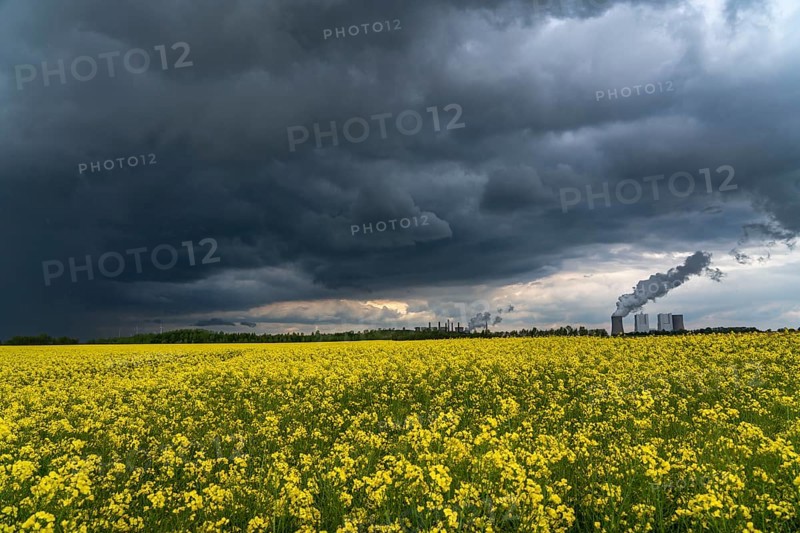 Neurath lignite-fired power station, near Grevenbroich, RWE Power AG, storm clouds over the Rhenish lignite mining area, rape field, North Rhine-Westphalia, Germany, Europe