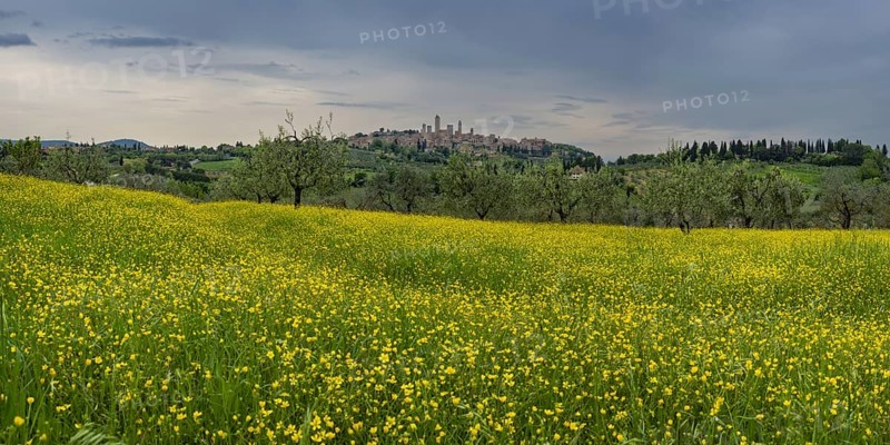 San Gimignano, Tuscany, Italy, Europe