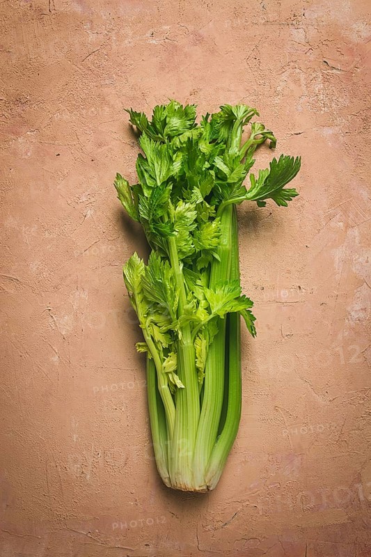 Fresh bunch of celery, top view, no people