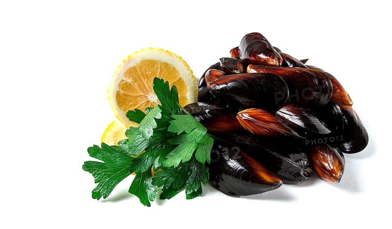 Fresh mussels, on a white background, with parsley and lemon, horizontal, no people