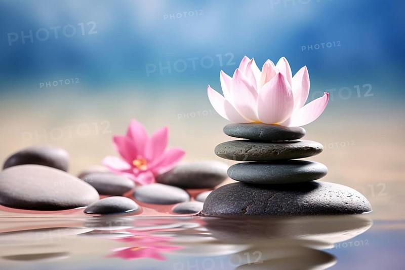 Meditation stacking stones and pink lutos flower in water. KI generiert, generiert, AI generated