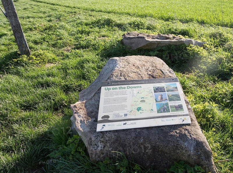 Information panel about Marlborough downs chalk landscape, Hackpen Hill, Wiltshire, England, UK