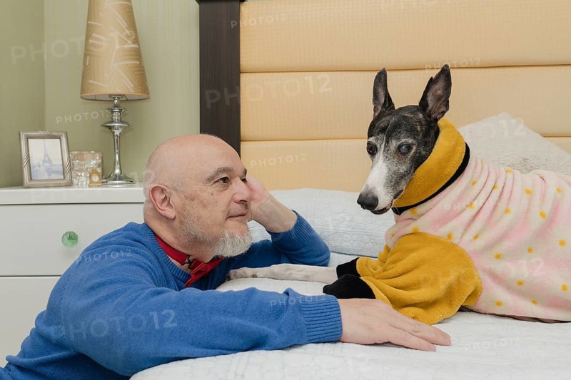 A mature man gazes lovingly at his pet, a Greyhound wearing an orange coat to keep warm, during a playful moment on the bed
