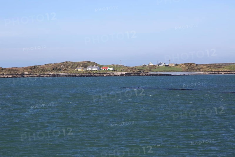 Houses on Hare Island, Roaringwater Bay, County Cork, Ireland, Irish Republic, Europe