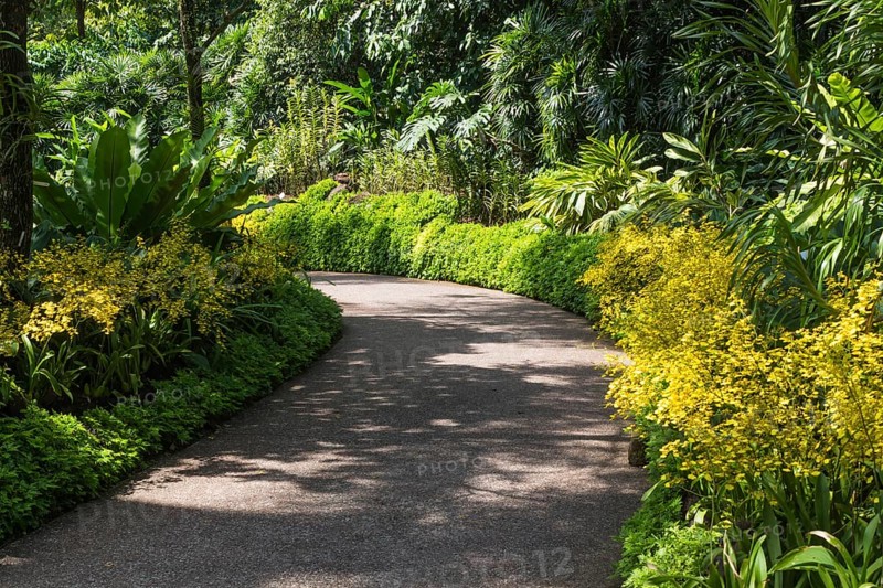 Garden path with a frame of yellow orchids