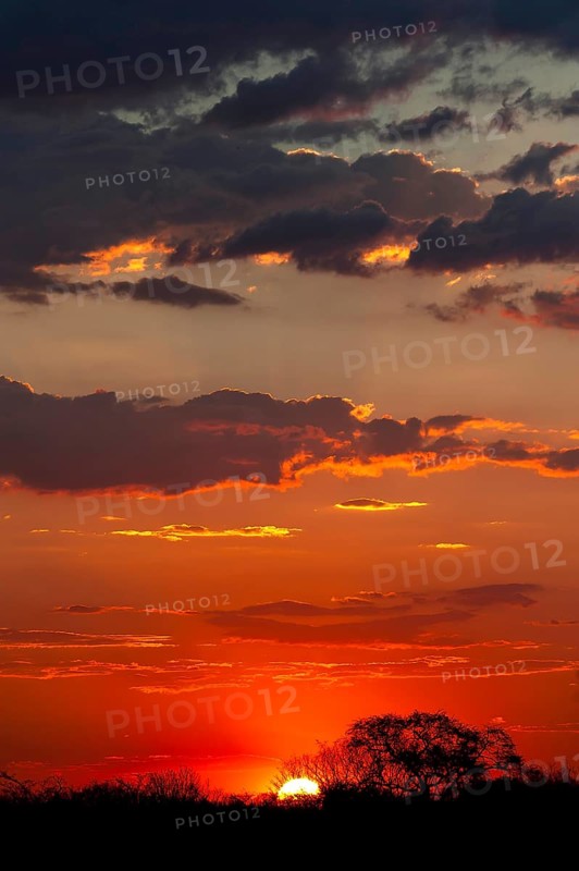 African sunset, sun, evening sky, romantic, romance, longing, emotion, travel, holiday, red sky, sunset, nature, landscape, Moremi National Park, Botswana, Africa