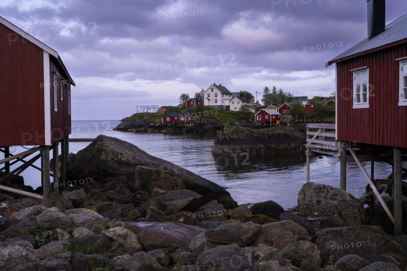 Typical red wooden houses on wooden stilts (rorbuer) in Nusfjord, white houses in the background. Rocks and sea. At night at the time of the midnight sun, cloudy sky. Early summer. Nusfjord, Flakstadoya, Lofoten, Norway, Europe