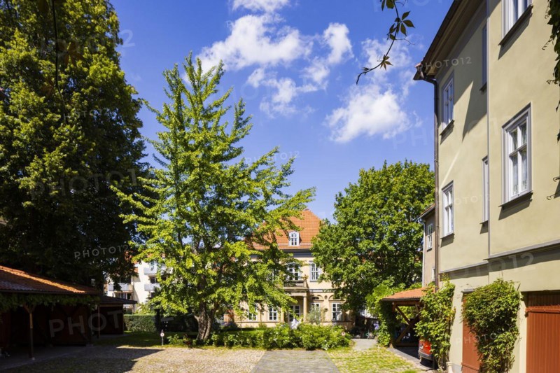 Lucas-Cranach-Straße 9, Gotha, Thuringia, Germany, Europe
