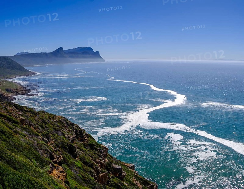 Cape Point Nature Reserve, Cape Point, Cape of Good Hope, Cape Peninsula, Western Cape, South Africa, Africa