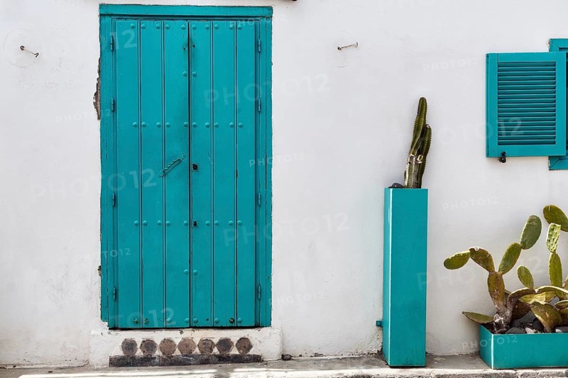 Turquoise green door, nopale (Opuntia) in tubs in front of a white façade, Las Negras, Cabo-de-Gata-Nijar, Cabo de Gata, Almeria, Andalusia, Spain, Europe