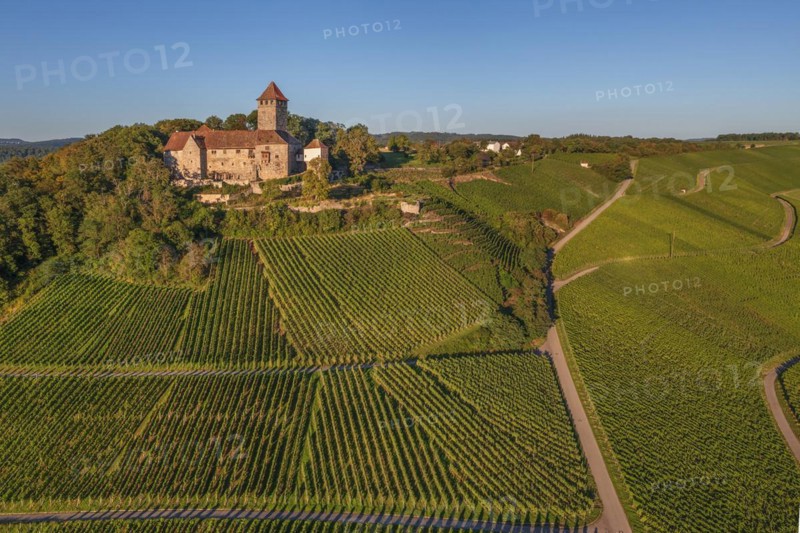 Lichtenberg Castle, Oberstenfeld, Bottwartal, Baden-Württemberg, Germany, Oberstenfeld, Baden-Württemberg, Germany, Europe