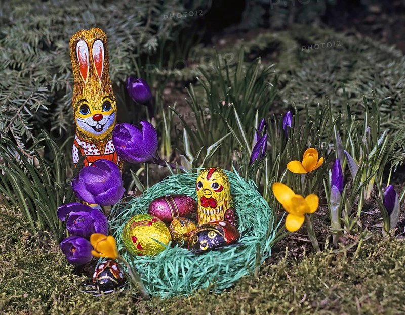 A colourful Easter bunny stands next to a nest of Easter eggs surrounded by purple and yellow crocuses