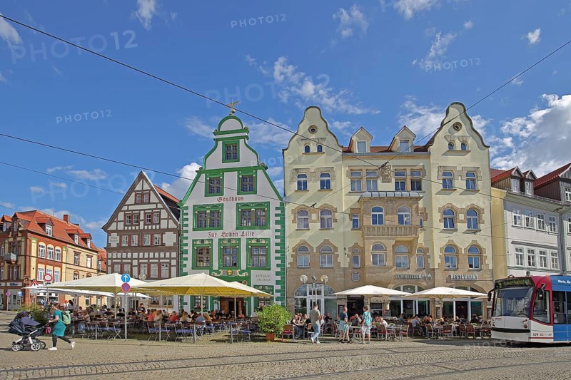 Historic restaurant Hofbräu am Dom with green tail gable, houses and tram, green, street restaurant, people, Domplatz, Erfurt, Thuringia, Germany, Europe