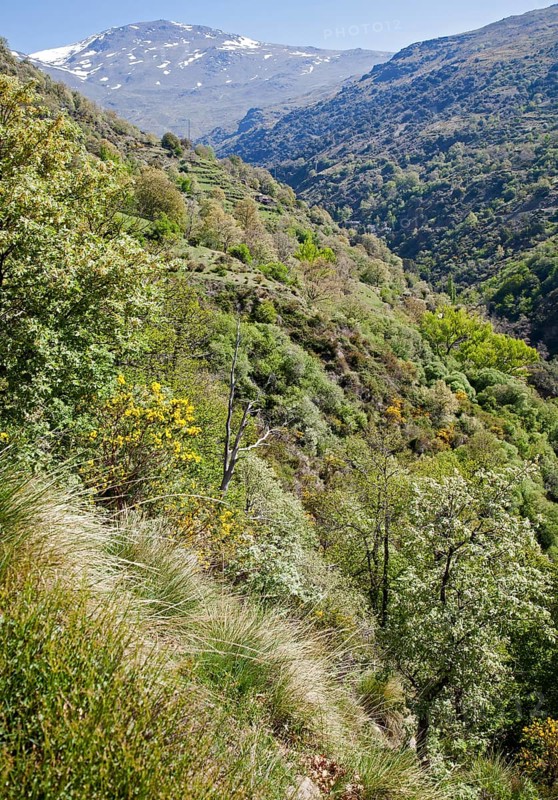 Landscape of the River Rio Poqueira gorge valley, High Alpujarras, Sierra Nevada, Granada Province, Spain, Europe