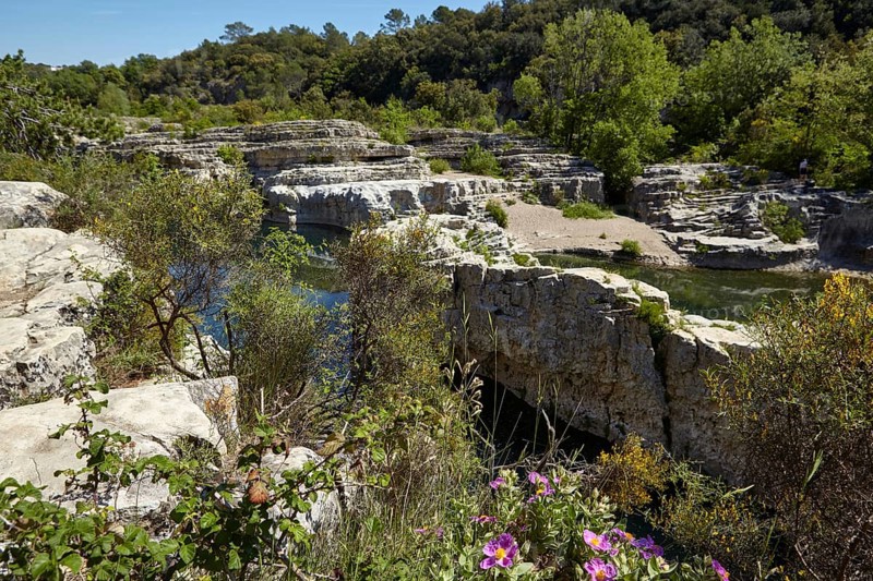 Limestone cliffs with vegetation and the river Cèze near La Roque-sur-Cèze, Département Gard, Occitania region, France, Europe