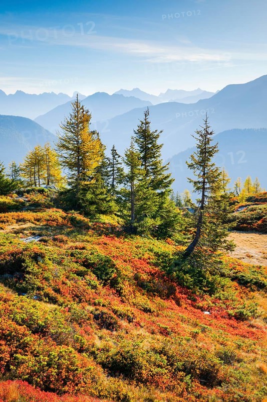View of the Valais mountains in autumn, Lower Valais, Switzerland, Europe