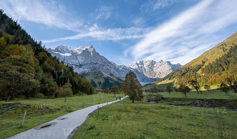 Maple trees with autumn leaves, hiking trail in autumn landscape in Rißtal with Spritzkarspitze, Großer Ahornboden, Engalpe, Eng, municipality of Hinterriß, Karwendel Mountains, Alpenpark Karwendel, Tyrol, Austria, Europe
