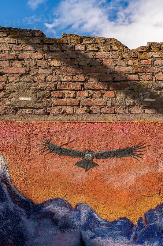 Colourful graffito with the image of an Andean condor (Vultur gryphus), street art in the city of Punta Arenas, Patagonia, Chile, South America