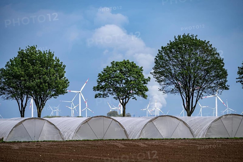 Agriculture, large areas with foil tunnels, for growing strawberries, south of Lövenich, belongs to Erkelenz, in the district of Heinsberg, wind farm, Neurath lignite-fired power station, North Rhine-Westphalia, Germany, Europe