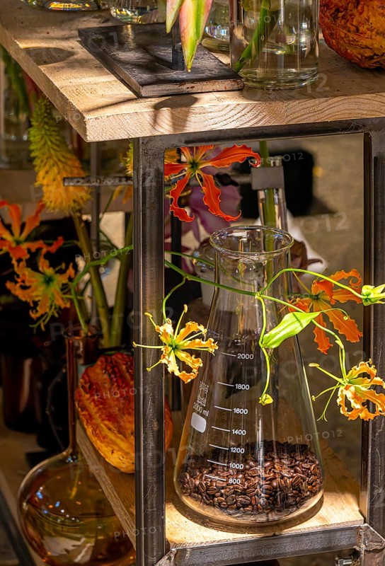 Artistic flower arrangements and decorations, German Floristry Championships, Berlin, Germany, Europe