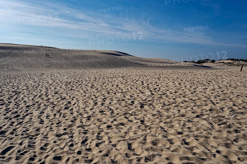 Dune landscape around the Lontz Dune, Wydma Lacka, the largest travelling dune on the Polish Baltic coast. It is located in the Slowinski National Park and is part of the UNESCO Slowinksi Biosphere Reserve. Leba, Pomerania, Poland, Europe