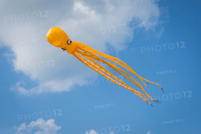 Yellow squid as flying dragon, octupus, wind, childhood, figure, blue sky, autumn, Germany, Europe