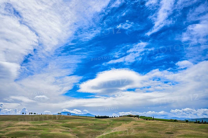 Landscape near Torrenieri, Tuscany, Italy, Europe