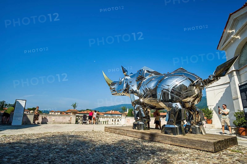 King Kong Rhino, steel sculpture, Palazzo Sturm, Bassano del Grappa, Veneto, Italy, Europe