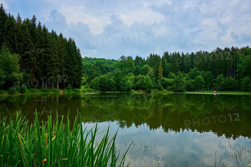 A tranquil lake in the middle of a dense forest, surrounded by green trees and a cloudy sky reflected in the water, Rothsee, Bauersberg, Bischofsheim, Rhön-Grabfeld, Rhön, Bavaria, Germany, Europe