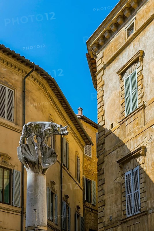 She-wolf and children, sculpture in the historic centre, heraldic animal, monument, symbol, culture, history, historical, Siena, Tuscany