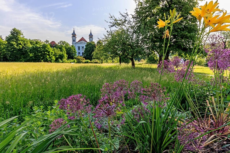 Colourful flowers in front of the church towers of a monastery against the light, spring, sunny, Schlehdorf Monastery, Schlehdorf, Bavaria, Germany, Europe