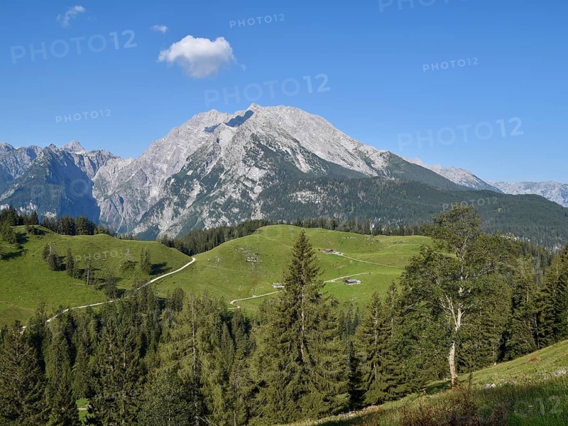 View across the Büchsenalm alpine pasture to the Watzmann with the Watzmann east face, Berchtesgaden National Park, Bavaria, Germany, Europe