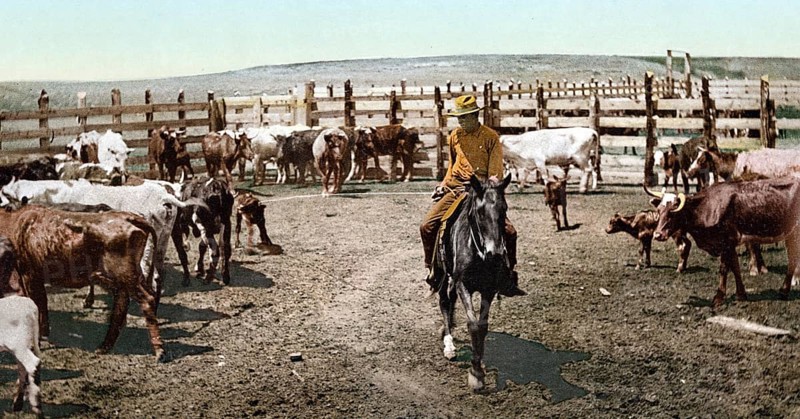Round up in the corral, Colorado, United States of America, USA, digitally restored reproduction from a 19th century original, record date not stated, Round up in the corral, United States of America, digitally restored reproduction from a 19th century original, record date not stated, North America
